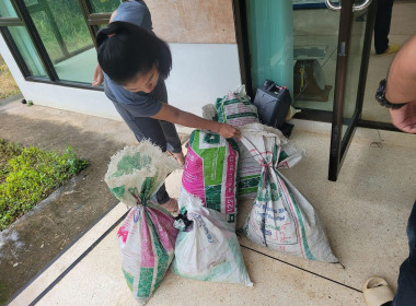 เข้าติดตามผลการดำเนินงานในการรวบรวมและแปรรูปผลผลิตทางการเกษตร (พริกสดเป็นพริกแห้ง) ณ สหกรณ์การเกษตรสบเมย จำกัด อำเภอสบเมย ... พารามิเตอร์รูปภาพ 4