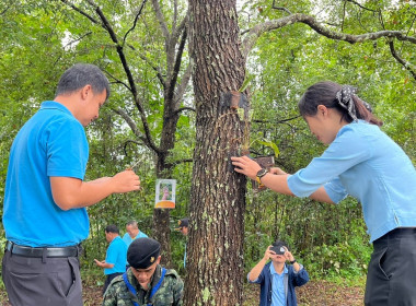 งานรณรงค์การนำกล้วยไม้คืนสู่ป่าเพื่อเฉลิมพระเกียรติสมเด็จพระนางเจ้าสิริกิติ์ พระบรมราชินีนาถ พระบรมราชชนนีพันปีหลวง ... พารามิเตอร์รูปภาพ 2