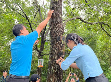 งานรณรงค์การนำกล้วยไม้คืนสู่ป่าเพื่อเฉลิมพระเกียรติสมเด็จพระนางเจ้าสิริกิติ์ พระบรมราชินีนาถ พระบรมราชชนนีพันปีหลวง ... พารามิเตอร์รูปภาพ 3