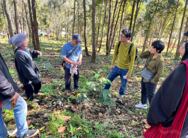 พูดคุยเกี่ยวกับผลการจัดอบรมโครงการติดตามผลการดำเนินงานความร่วมมือไทย-ญี่ปุ่น การจัดการหลังเก็บเกี่ยวและการพัฒนาฐานชุมชนสำหรับผลิตภัณฑ์ชุมชน (กาแฟอาราบิกา) ปี 2568 ... พารามิเตอร์รูปภาพ 7