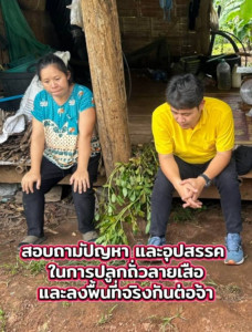 ลุยงานติดตามการปลูกถั่วลายเสือ ตำบลแม่สวด อำเภอสบเมย ... พารามิเตอร์รูปภาพ 1