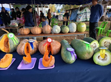โครงการคลินิกเกษตรเคลื่อนที่ในพระราชานุเคราะห์สมเด็จพระบรมโอรสาธิราช ฯ สยามมกุฎราชกุมาร ครั้งที่ 2/2569 ... พารามิเตอร์รูปภาพ 10