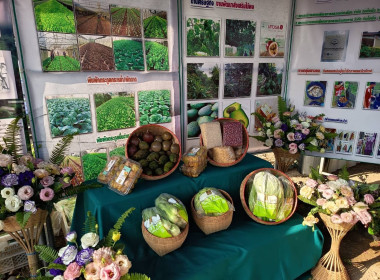 โครงการคลินิกเกษตรเคลื่อนที่ในพระราชานุเคราะห์สมเด็จพระบรมโอรสาธิราช ฯ สยามมกุฎราชกุมาร ครั้งที่ 2/2569 ... พารามิเตอร์รูปภาพ 14