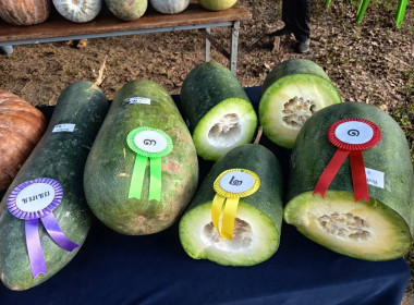 โครงการคลินิกเกษตรเคลื่อนที่ในพระราชานุเคราะห์สมเด็จพระบรมโอรสาธิราช ฯ สยามมกุฎราชกุมาร ครั้งที่ 2/2569 ... พารามิเตอร์รูปภาพ 15