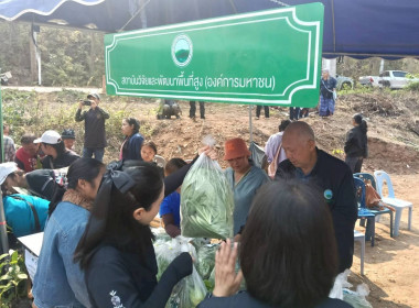 🍂จากกองปุ๋ยหมัก ลดการเผา สู่แปลงผักมาตรฐานอินทรีย์🍂 พารามิเตอร์รูปภาพ 3