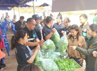 🍂จากกองปุ๋ยหมัก ลดการเผา สู่แปลงผักมาตรฐานอินทรีย์🍂 พารามิเตอร์รูปภาพ 4