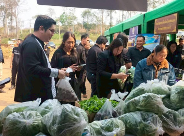 🍂จากกองปุ๋ยหมัก ลดการเผา สู่แปลงผักมาตรฐานอินทรีย์🍂 พารามิเตอร์รูปภาพ 5