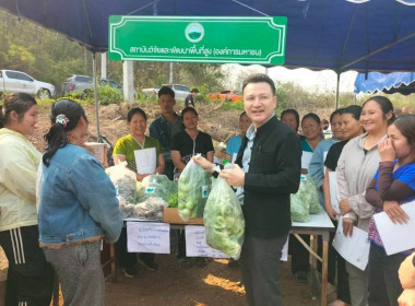 🍂จากกองปุ๋ยหมัก ลดการเผา สู่แปลงผักมาตรฐานอินทรีย์🍂 พารามิเตอร์รูปภาพ 10