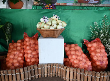 ร่วมพิธีปล่อยคาราวานหอมหัวใหญ่ ... พารามิเตอร์รูปภาพ 8