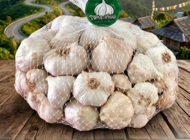 ร่วมประชุมคณะกรรมการเพื่อแก้ไขปัญหาเกษตรกรอันเนื่องมาจากผลิตผลการเกษตรระดับจังหวัด จังหวัดแม่ฮ่องสอน ครั้งที่ 1/2569 ... พารามิเตอร์รูปภาพ 10