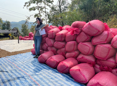 ร่วมติดตามกิจกรรมการรวบรวมกาแฟ ... พารามิเตอร์รูปภาพ 10