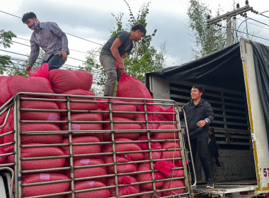 ร่วมติดตามกิจกรรมการรวบรวมกาแฟ ... พารามิเตอร์รูปภาพ 2