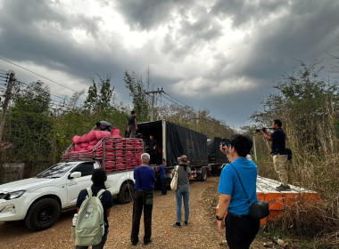 ร่วมติดตามกิจกรรมการรวบรวมกาแฟ ... พารามิเตอร์รูปภาพ 3