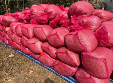 ร่วมติดตามกิจกรรมการรวบรวมกาแฟ ... พารามิเตอร์รูปภาพ 6