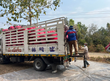 ร่วมติดตามกิจกรรมการรวบรวมกาแฟ ... พารามิเตอร์รูปภาพ 7