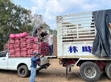 ร่วมติดตามกิจกรรมการรวบรวมกาแฟ ... พารามิเตอร์รูปภาพ 8