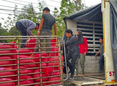 ร่วมติดตามกิจกรรมการรวบรวมกาแฟ ... พารามิเตอร์รูปภาพ 9